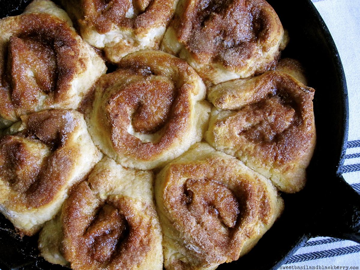 cinnamon rolls#3