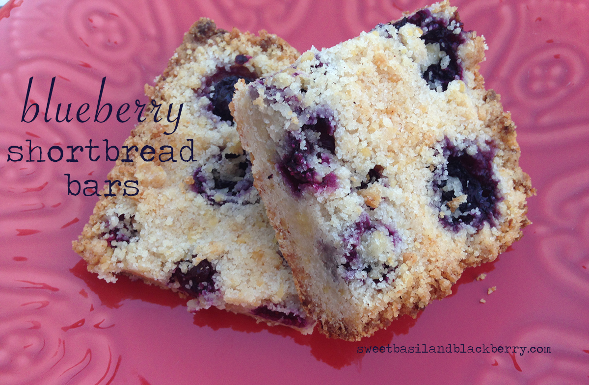 blueberry shortbread bars