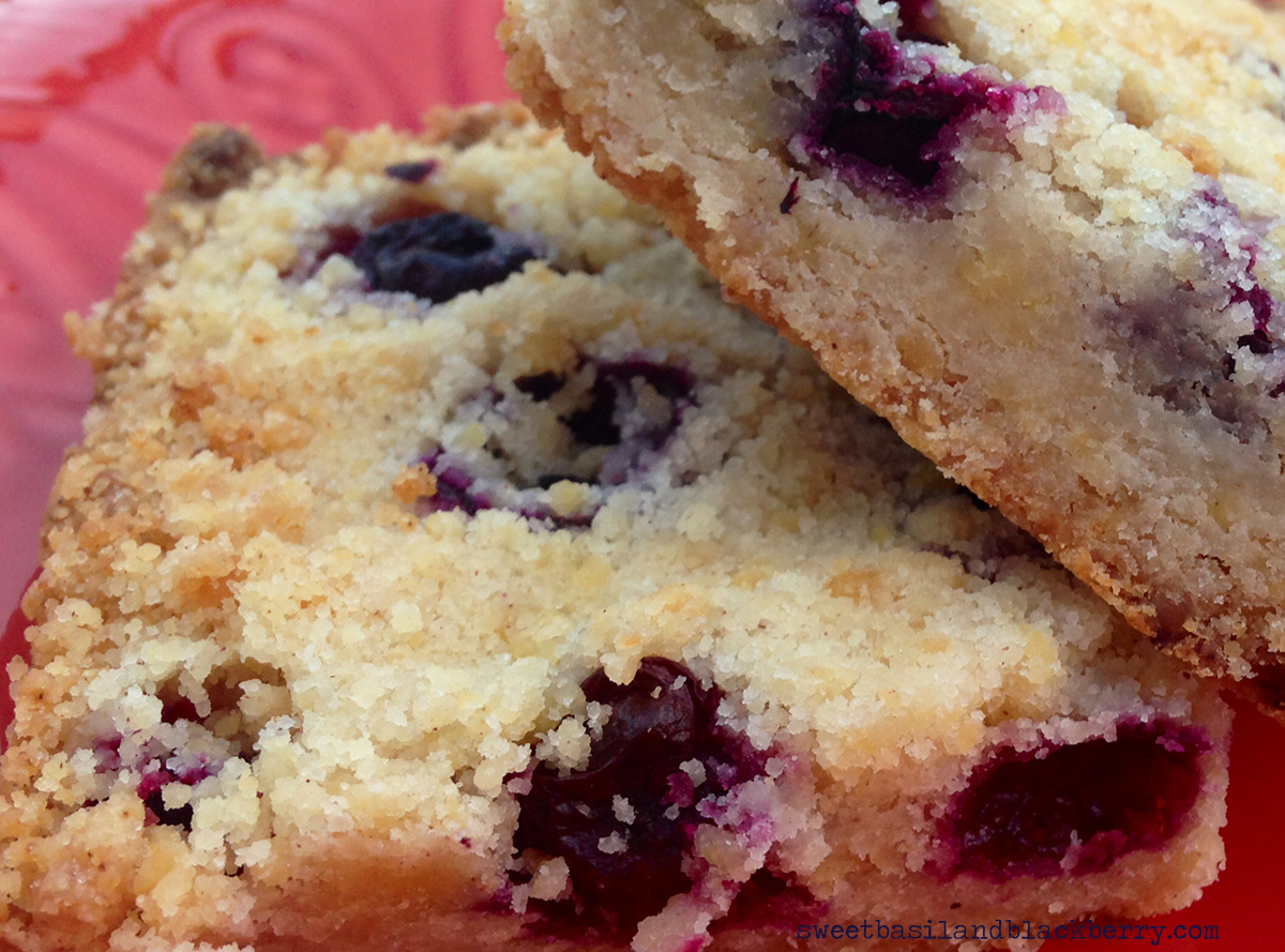 blueberry shortbread bars#2