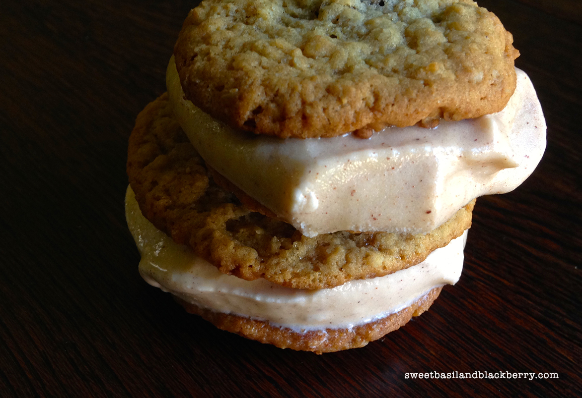 ice cream sandwiches #5