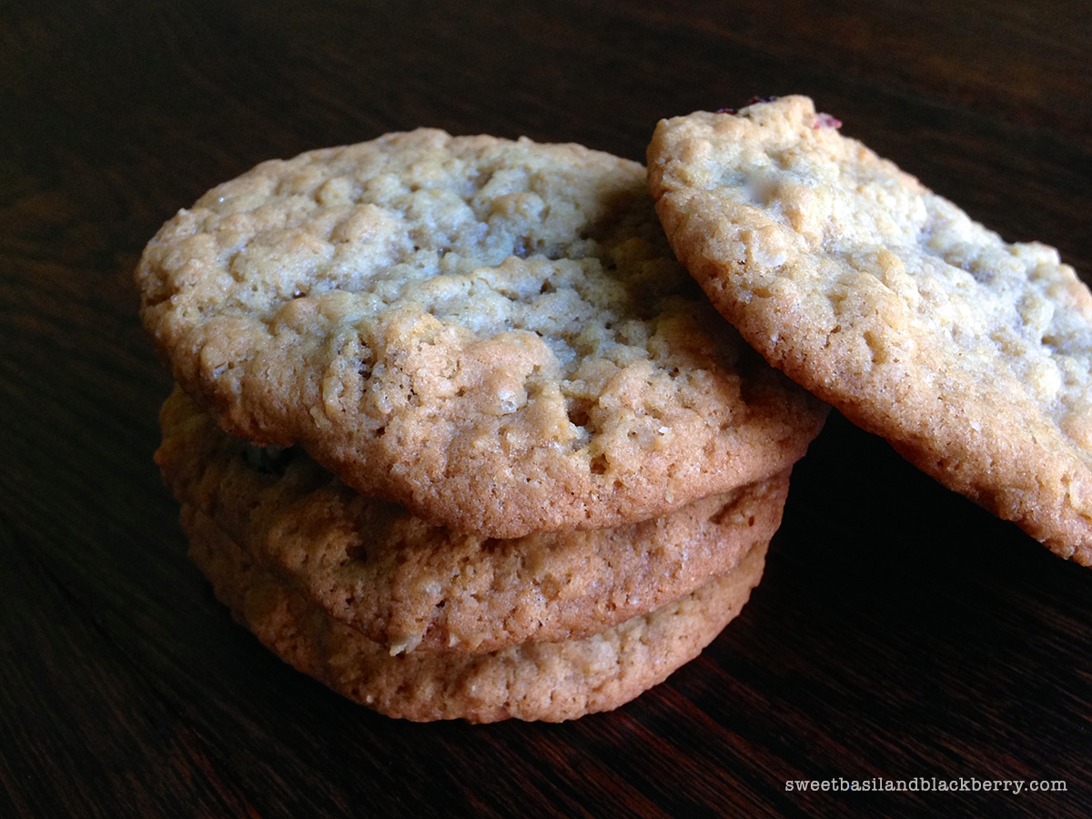 ice cream sandwiches#2