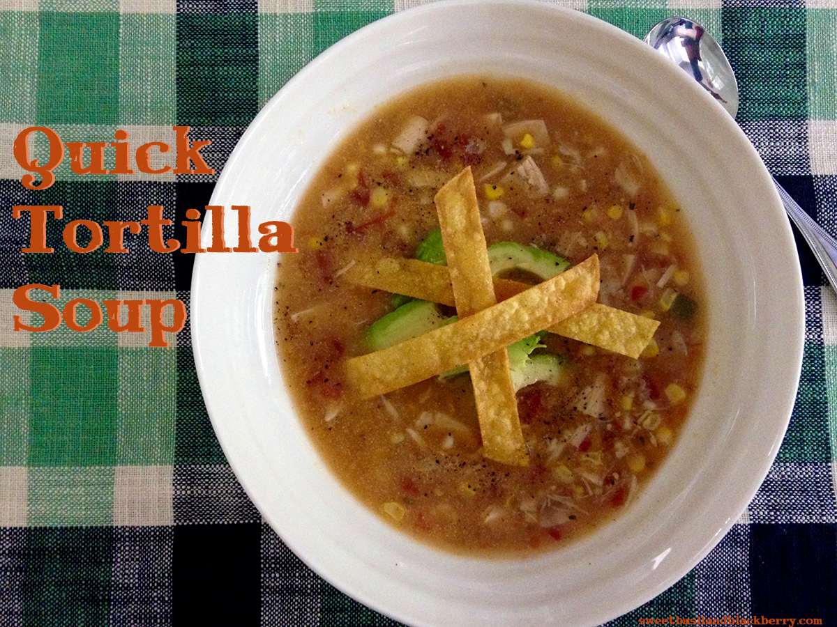 quick tortilla soup